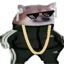 C_ADogeTriPoloskiCool