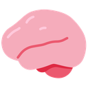 smoothbrain