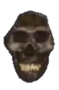 skullguy1