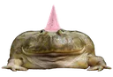 froggie3