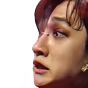 chanwtf Discord Emoji