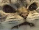 f_GRRR