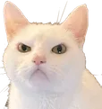 GlareCat