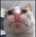 ImSadHuhu
