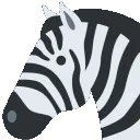 distorted1zebra