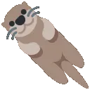 distorted4otter