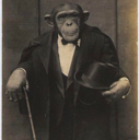 monke Discord emoji
