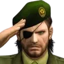 salute salute