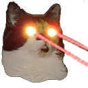 lazor