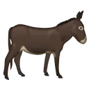 donkey