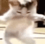 Vibekitty