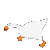 gooserun