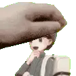 petwes