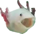 Axo_pog Discord Emoji