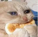 stressedcat