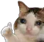 Catthumbsup catthumbsup Discord Emoji