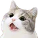 Catwow catwow Discord Emoji