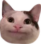 Catok catok Discord Emoji