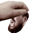 petcon Discord emoji