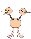 doduo