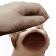patPopcat