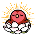 CodyZenLotus