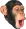 monkeypog