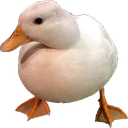 mrduckirl Discord emoji