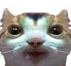 GoobGang