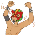 MaskedWOOyal MaskedWOOyal