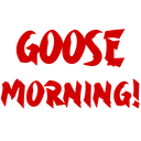 Nb_gooseMorning