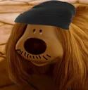 jimmyDoogal