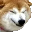 cringe_boye