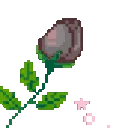 pa_rosegray