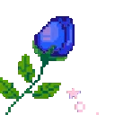pa_roseblue