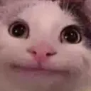 s8ul_wowbhaiya