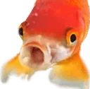 Fishpog fishpog Discord Emoji