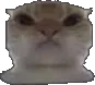 irlcat_angy