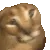 floppashake