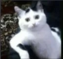 64 64