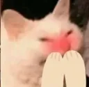 teehee