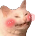 MBR_pBakacat Discord emoji