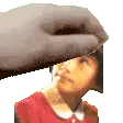 petMekori