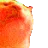 :catJAMJAM: catJAMJAM