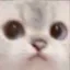 UwU UwU