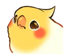 Birbcry Birbcry