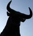 Bull1