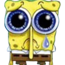 spongesad spongesad