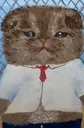tuxcat Discord Emoji