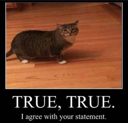 true